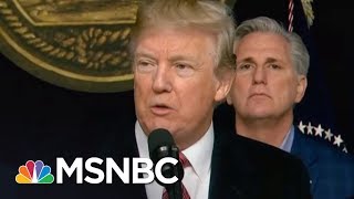 Michael Wolff: President Trump 'Wholly Lacking' In 'Executive Function' | The Last Word | MSNBC