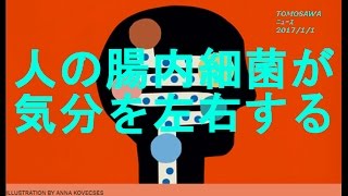 腸が人間の気分を左右する仕組み