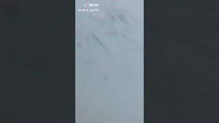 [Tiktok] Ryu류 미완성 그림