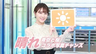お天気キャスター解説 3月19日(金)の天気