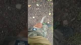 Белка знает, что лежит у меня в карманах / The squirrel knows what's in my pockets