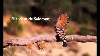 Le Prophète Soulayman (‘alayhi Salam), Masha Allah !!!!