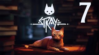 Прохождение Stray Серия 7 "Побег, жертва и свобода" (Финал)