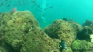 Buceo Salango