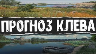 Русская Рыбалка 4●ПРОГНОЗ КЛЕВА●ФАРМ ТОЧКИ И КЛЕВЫЕ МЕСТА●