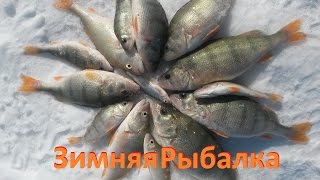 Рыбалка в Марте, Ловля Окуня, ждем Карася Ч.2
