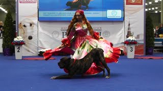 Танцы с собаками "Россия - 2014". Dog Dancing. Canine Freestyle.