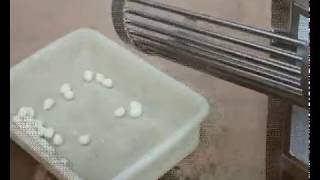 Оборудование для очистки яиц от скорлупы