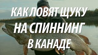 ЩУКА НА СПИННИНГ. РЫБАЛКА В КАНАДЕ НА ЩУКУ