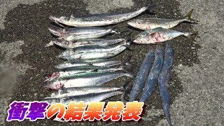 【青物爆釣】まさかこんな結果になるとは・・・