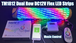 How to use Music X1 Controller Control Dual Row TM1812 Digital Dream Color Flex LED Strip Lights