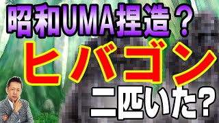 ATLASラジオ2nd 240　謎の獣人ヒバゴン、捏造の暴露本、ヒバゴンは二匹いた？