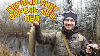 ФОРЕЛЬ ПО ПЕРВОМУ СНЕГУ В КОНЦЕ ОКТЯБРЯ ПОХОД 6КМ В ЛЕНИНГРАДСКОЙ ОБЛАСТИ СЕВЕРО-ЗАПАД