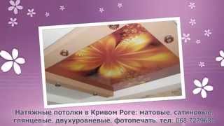 Французские натяжные потолки | Кривой Рог | Видео Цены