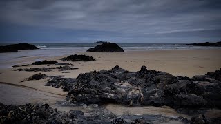 Ocean Waves & Relaxing Stream at Beach | Sea Water Sounds for Sleeping FAST: White Noise for Babies