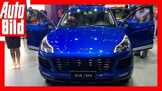 Kopien auf der Auto Shanghai (2017) Details/Erklärung