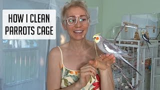 How I clean my parrots cage: Quick n' Easy!! ???