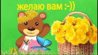 ДОБРОЕ УТРО МОИ СОЛНЫШКИ ! Солнечно - жёлтого , одуванчикового настроения!#Мирпоздравлений