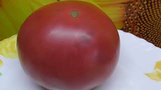 Томат Казанский местный - мясистый, вкусный! Идеален для салатов! Дегустация сорта.