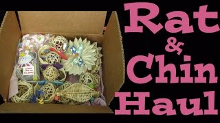 Rat & Chinchilla Haul