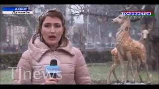 Тармафарои дар рохи Душанбе Хучанд Снежные лавины в Таджикистане 7 погибших