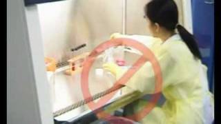 Cell culture SOP