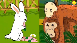 ลิง vs กระต่าย