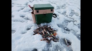 Рыбалка на одном из заливов ВВ.Окунь на безмотылку.