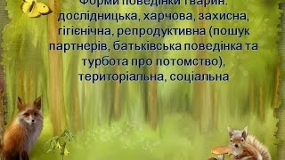 форми поведінки тварин