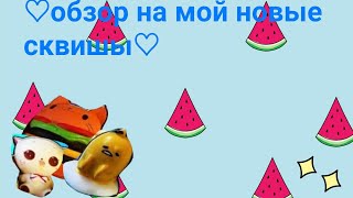 Обзор на мои новые сквиши|БеЛкА ЕвАнГеЛкА