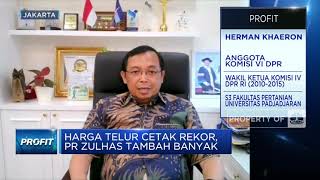 Harga Telur Rekor & Tembus Rp 35 Ribu/Kg, Apa Penyebabnya?