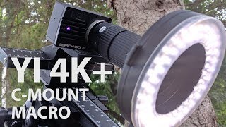 Insane Macro Using C-Mount & Yi 4K+