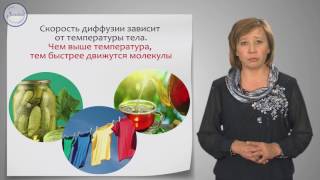 Физика 7 класс. Диффузия.  Скорость движения молекул и температура тела