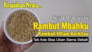 KABAR BAHAGIA... UBAN MBAHKU HITAM BERKILAU KEMBALI TANPA SEMIR