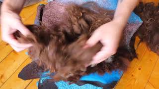 How to felted a collar with fleece curles FELTING & ВАЛЯНИЕ: валяем эко-мех на готовом изделии.