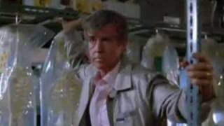 A tribute to zombies and zombie movies
