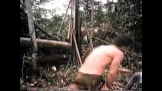 Bill Cable as Tarzan