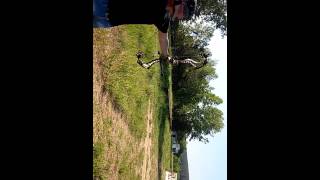 Bowtech Insanity  Cpx  70 lbs