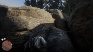 RDR 2 гуарама