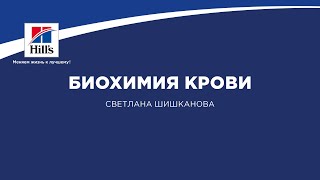 Биохимия крови.  Что важно знать практикующему врачу.