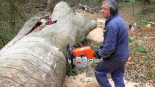 one man and his chainsaw
