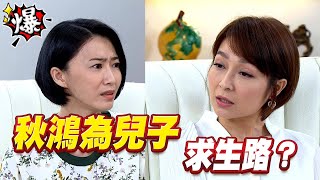 《多情大爆爆》多情城市 EP177 秋鴻為兒子 求生路？
