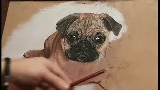 Бодайбо .Как рисовать в 3д стиле How to draw a dog in 3D.