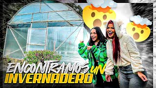 ¡ENCONTRAMOS UN INVERNADERO MISTERIOSO EN MEDIO DEL BOSQUE! - Yolo Aventuras ft. Sofia Castro