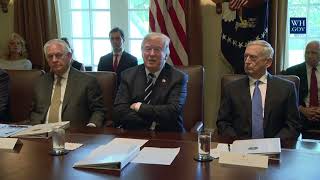 President Trump Holds a Cabinet Meeting