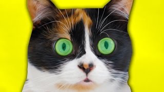 Угадай Ютубера по Голосу ?? Веселый Челлендж