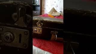 играем в прятки с киска малышка. трехцветная редкий зверек кошка Мура..старый чемодан сюрприз