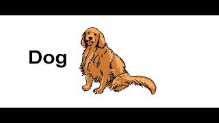 ИЗУЧАЕМ животных на английском языке Animals in English Развивающие мультики Обучающее видео