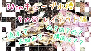 【アクアリウム】30cmキューブ水槽 レイアウト編(2018.4.25)