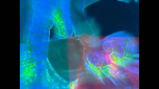 The Chemical Brothers -  Keep My Composure feat. Spank Rock - Brotherhood - 2009